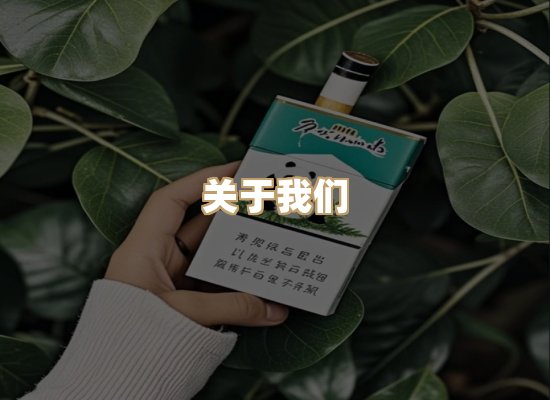 关于御龙烟网